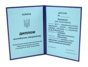 удостоверения по электробезопасности, удостоверения по охране труда, корочки, пропуск, посвідчення, удостоверения купить, зачетные книжки, залікова книжка, студентський квиток, ученический билет, учнівський квиток, удостоверение сварщика, посвідчення зварника, удостоверения винница, посвідчення київ, заказать удостоверения